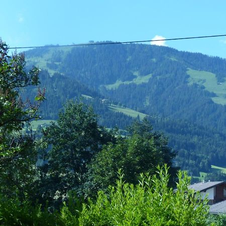 Grosse Fewo Scheffau Appartement Scheffau am Wilden Kaiser Buitenkant foto