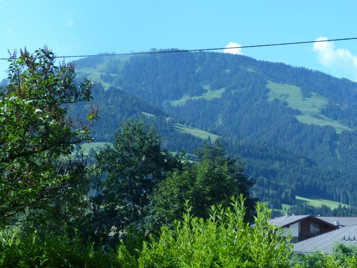 Grosse Fewo Scheffau Appartement Scheffau am Wilden Kaiser Buitenkant foto