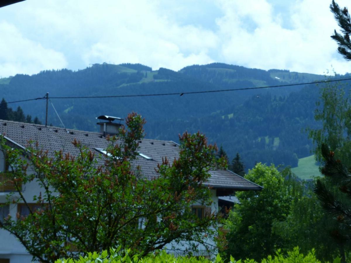 Grosse Fewo Scheffau Appartement Scheffau am Wilden Kaiser Buitenkant foto